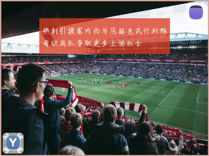 热刺引援塞内西与范赫克武什科维奇欲离队争取更多上场机会